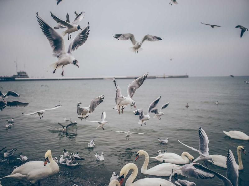 sudoku daily practice screenshot 3