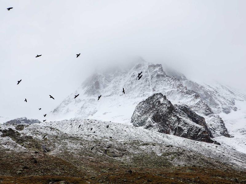 sudoku daily practice screenshot 1